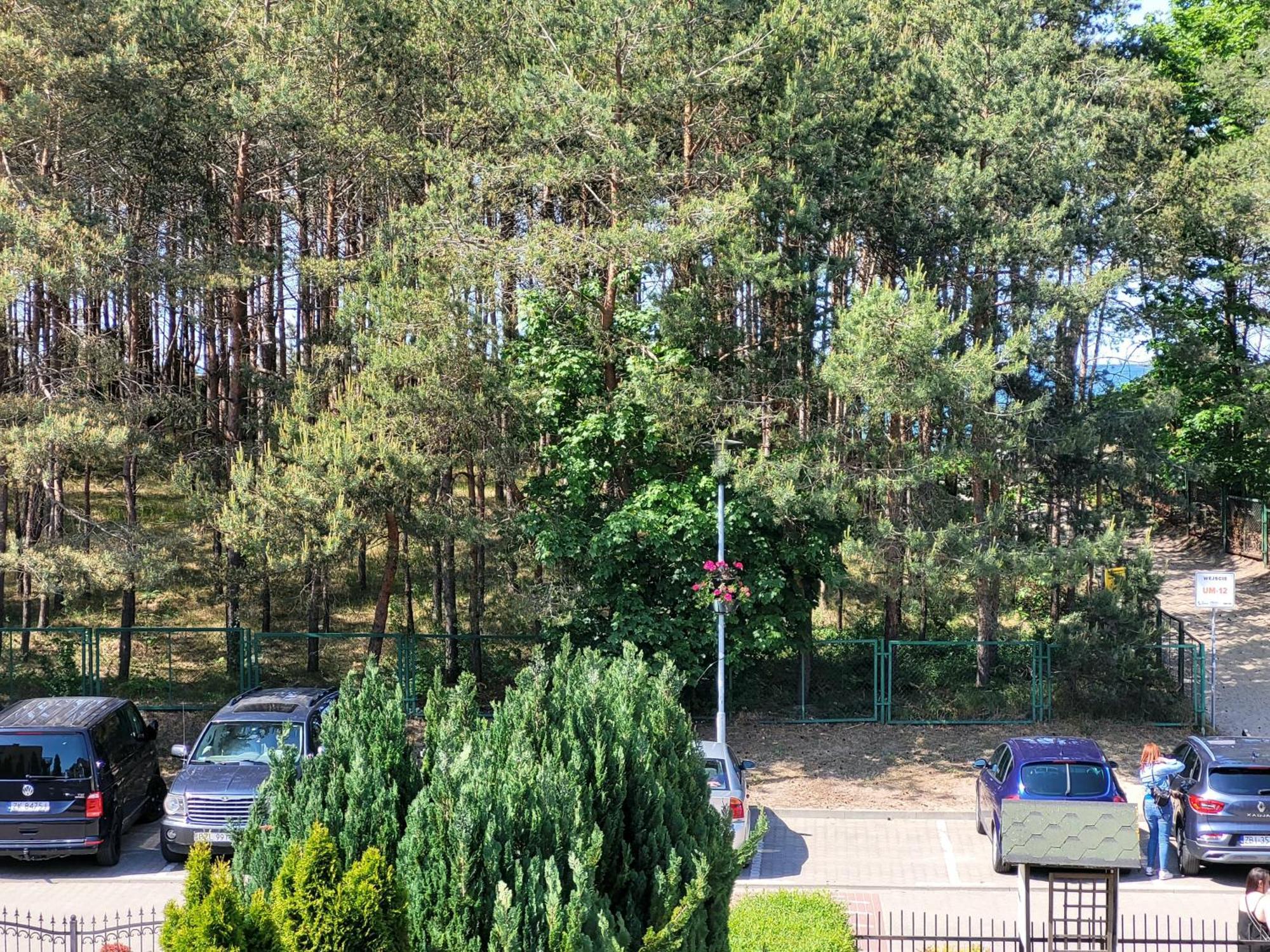 Renatka Przy Plazy Daire Unieście Dış mekan fotoğraf