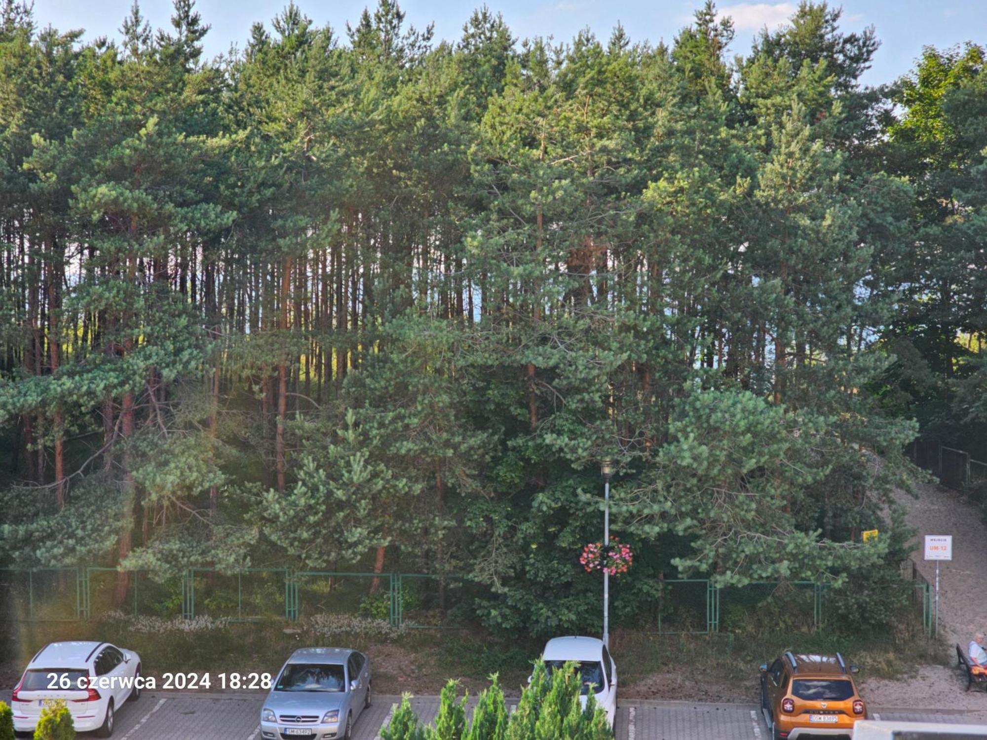 Renatka Przy Plazy Daire Unieście Dış mekan fotoğraf